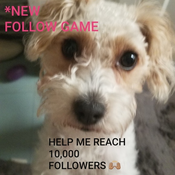 None Shoes - So close to 30k followers 🙌🏽😊! Come get blues